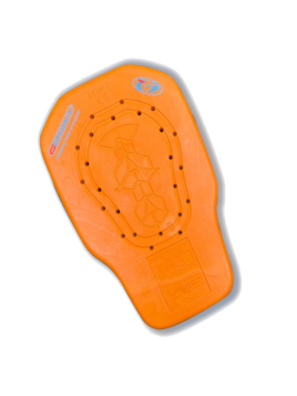 ESQUELLA JAQUETA GARIBALDI...